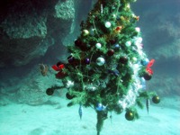 Gran Canaria Diving at Christmas