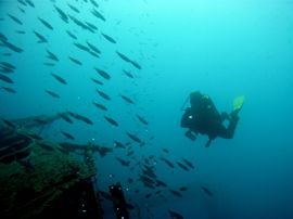 Diving in Las Palmas on the wreck of the Arona, Gran Canaria