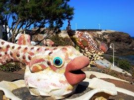 Deze vis sculpturen zijn te vinden in Risco Verde, een van onze dagelijkse duik locaties.