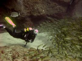 Gran canaria diving conditions